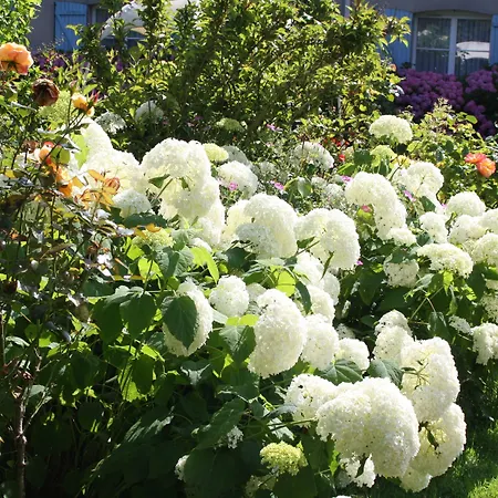 La Berteliere, The Originals Relais 酒店 圣马丁杜维维