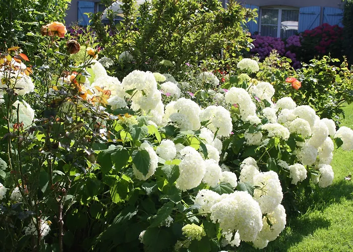 La Berteliere, The Originals Relais Hotel Saint-Martin-du-Vivier